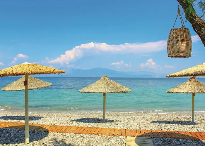 Apartman Awesome In Melissi Korinthia Diminió